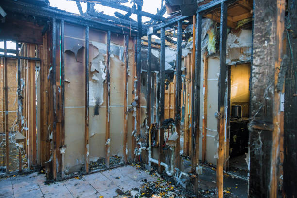Professional Fire Damage Removal technician working in Collingdale, PA